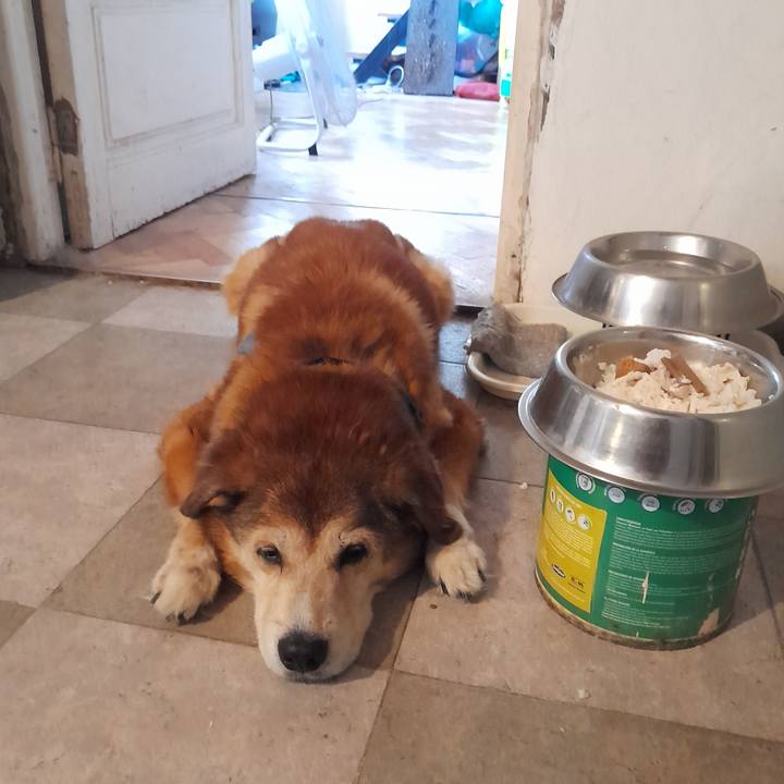 61d3ad43 75d1 4b28 99e4 05f48504903f 1767115552642