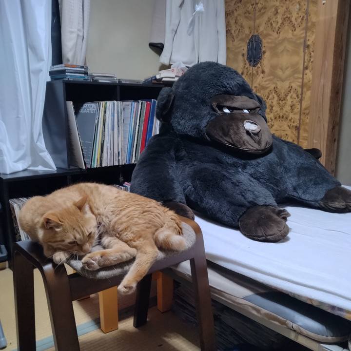 61d3b0b1 68cb 451a a546 84cc783a6837 1687615701764