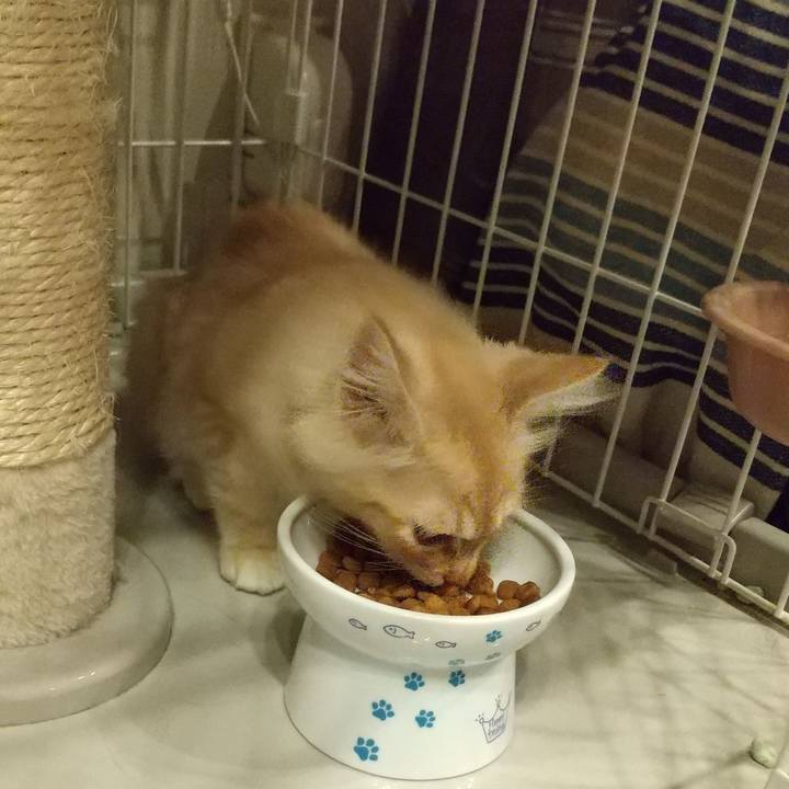 61d3bcae 7f32 4416 895e 0698e6f58772 1606301388561