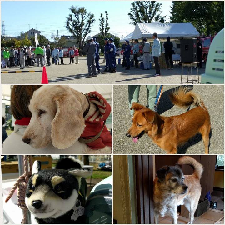 61d3be8a 34f9 464f b0af 16c45839c5a5 1540090029541