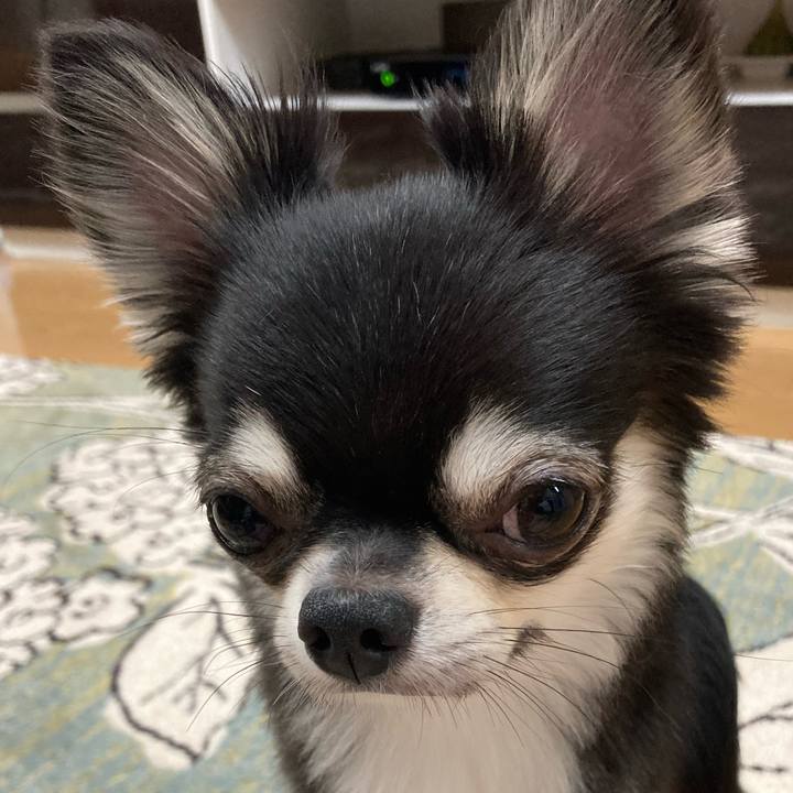 61d3e882 ad81 4c91 903b e6d2ce39f534 1626531616518