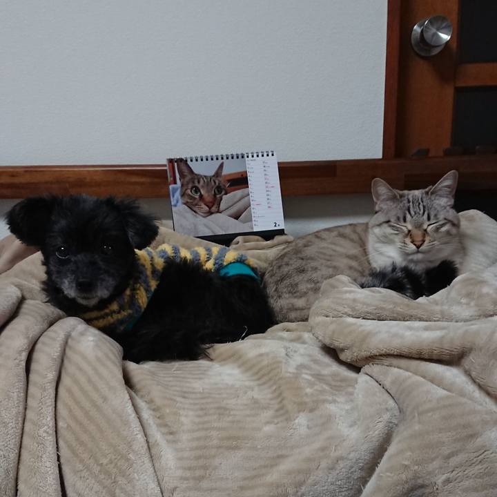 61d402fe bad9 4e37 838e 0fece611c1e3 1612612729587