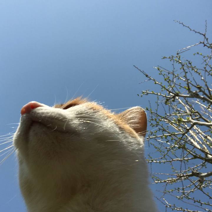 61d434fe 8124 4f43 a775 b187d61b95b6 1524272389397