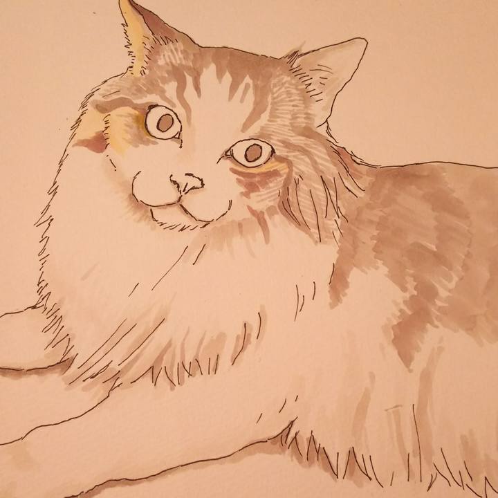 61d45615 b067 45ab aa55 1c5e87d2b94b 1535430869207