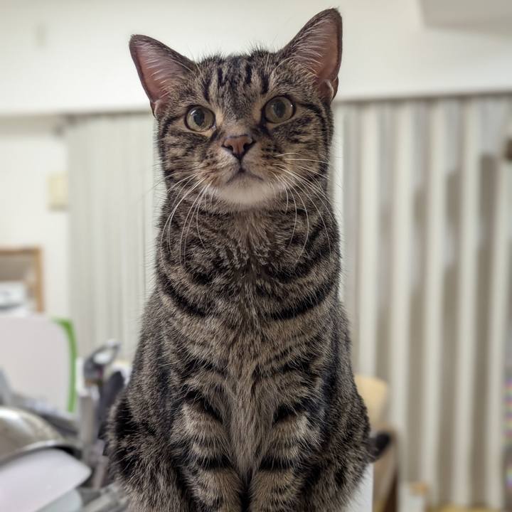 61d47987 393e 49d4 ba36 d266e9cc6a98 1747921353896