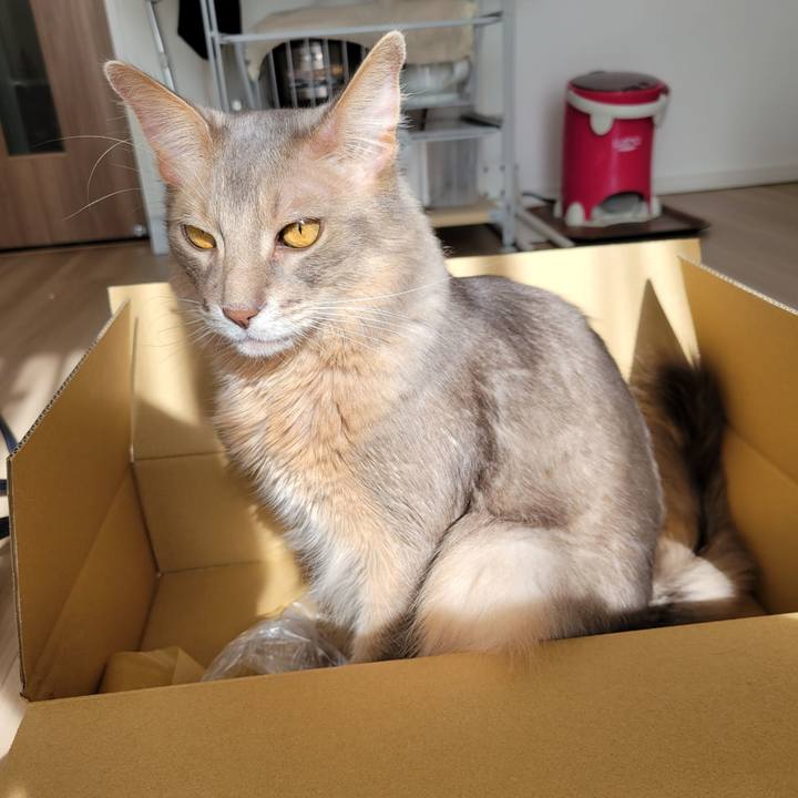 61d4a508 a0f8 488a 9e91 f9ef1fceb1b5 1638077583669