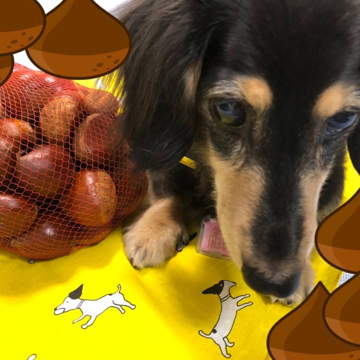 61d4a74c cd8b 4ecb 98e2 1c167f236687 1600134786541