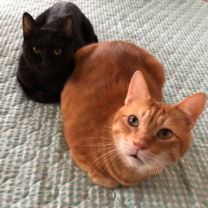 61d4ac3d 95cd 4a34 8ba2 4f8c4995c760 1663399978125