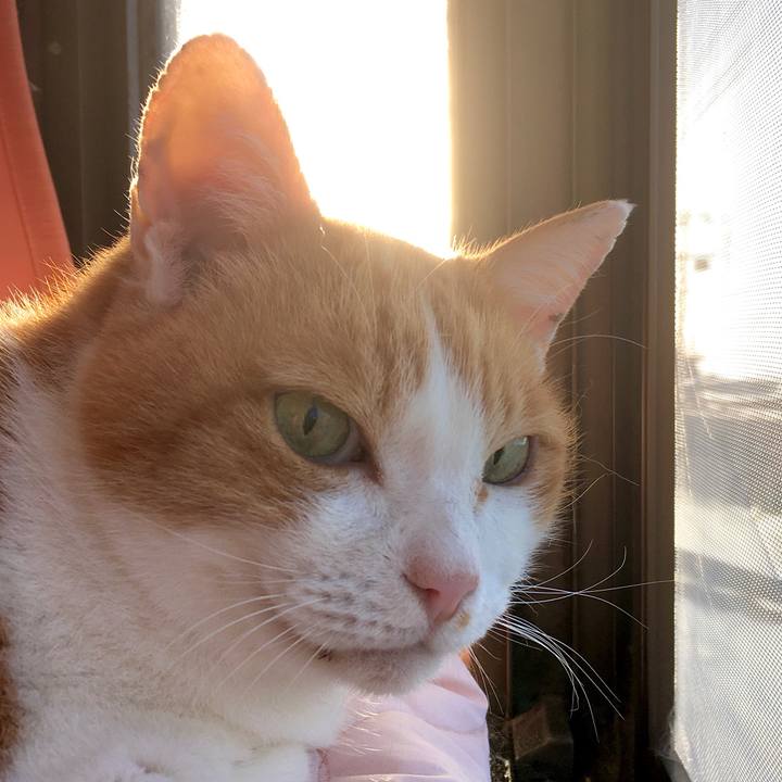 61d4d3bd b8e3 4015 95e2 fd43c9bc2076 1605164027649