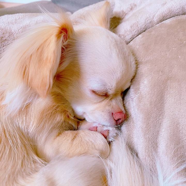 61d4e4c1 0269 4d48 a470 25ac73b78ec6 1622180576376