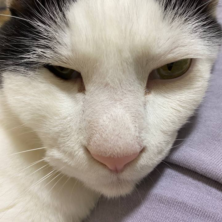 61d4ffe2 14af 44a8 a86c cd291e3cb1a0 1660380073036