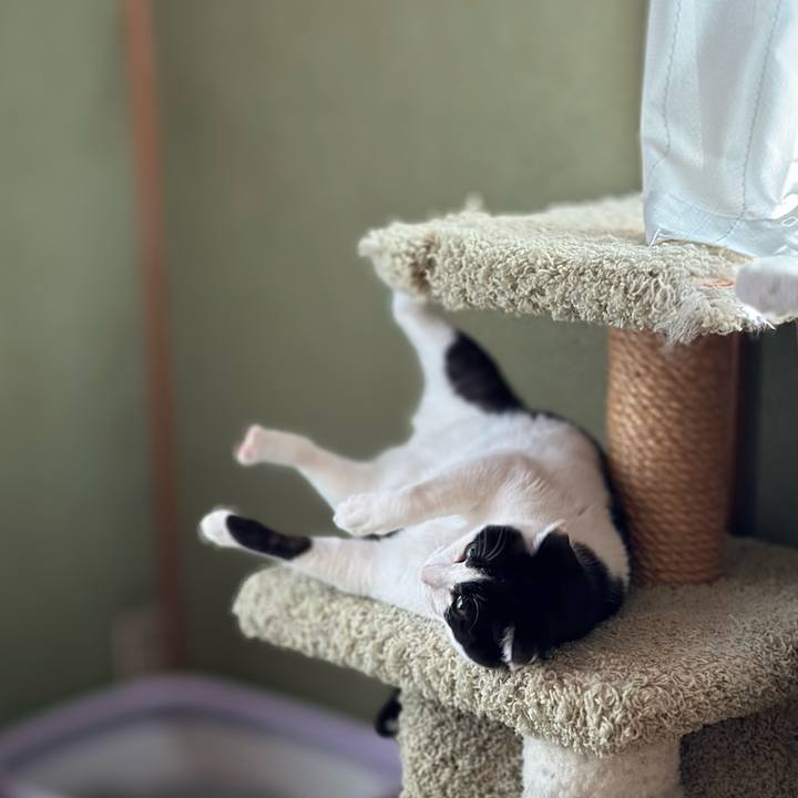 61d50fad b7d7 43c3 94f0 61edae871298 1671589234636