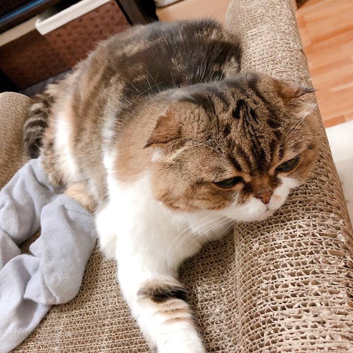 61d51224 ca4e 4538 ace7 a5b7ed5eb307 1568124106367