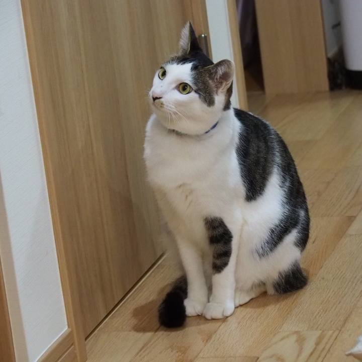 61d53f40 5b48 4713 9638 f3a08ae2c5a7 1546989845803