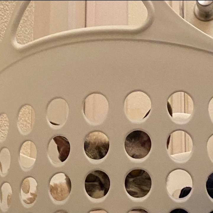 61d54236 2f8d 4360 beb3 7b724f6894aa 1633305595216