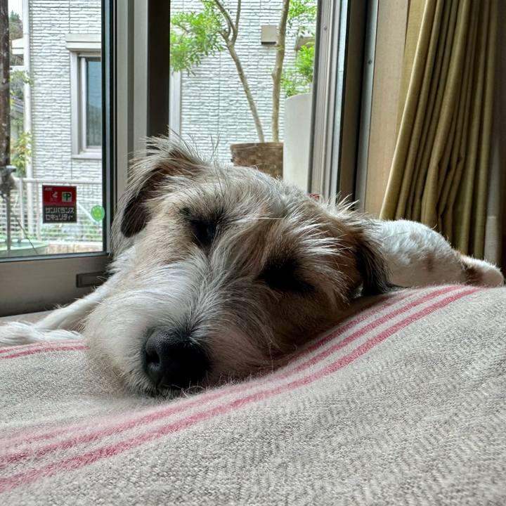 61d545bd 9a7f 4709 a3a7 9a0bd3bb491a 1696151087493