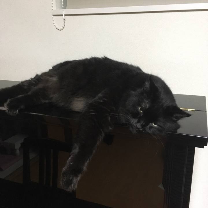 61d54d3a dab0 4063 99f6 c773e910f722 1536756526228