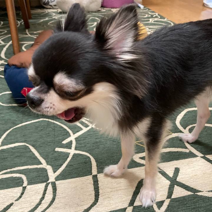 61d55afb 22ec 4e18 96fe cc26f63e13cd 1634393581011