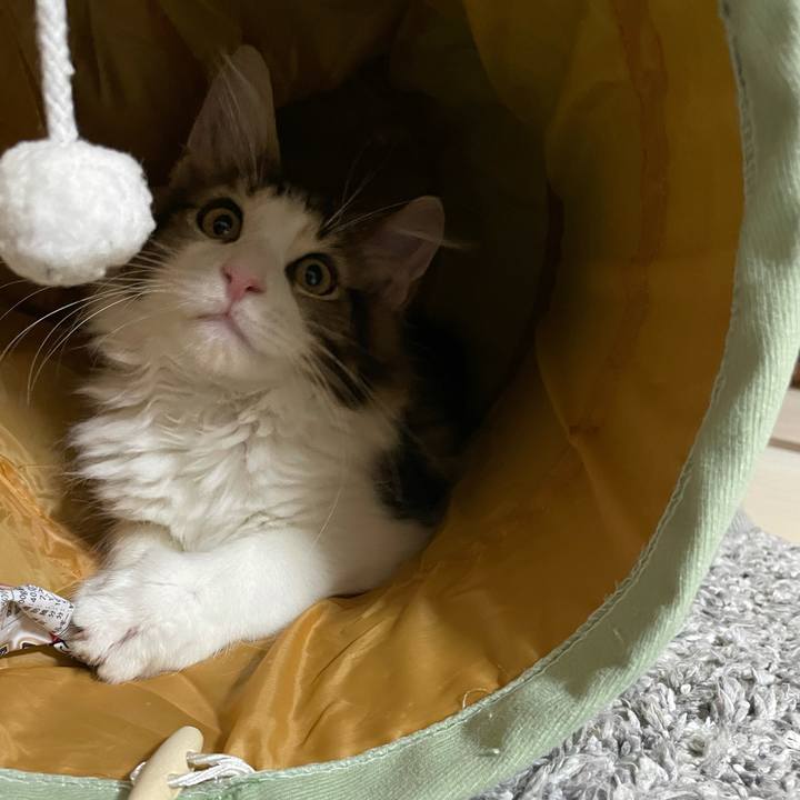 61d57db3 6598 427f a1ed 0fe0d13186b3 1633290935624