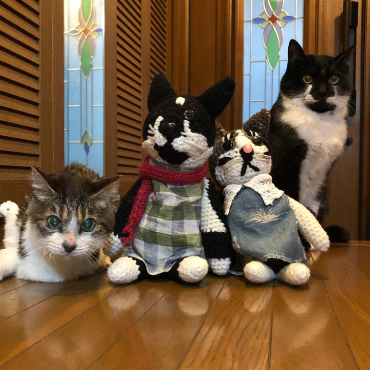 61d58eed 1027 4b1f b26b 86d123845588 1548973128865