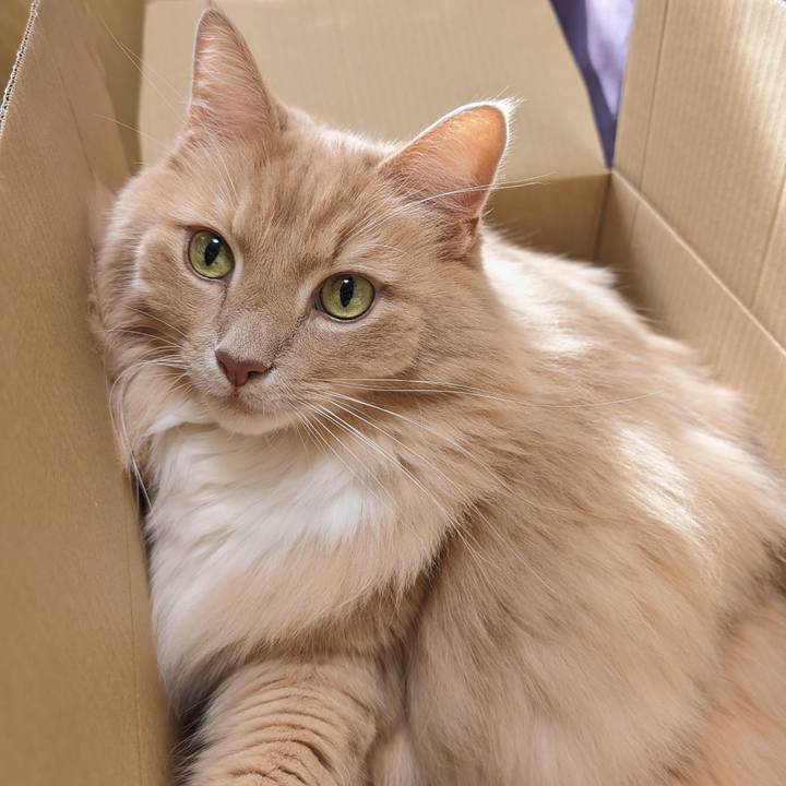 61d592d9 4f1e 4def aaa8 34dd3e62656f 1701573269844