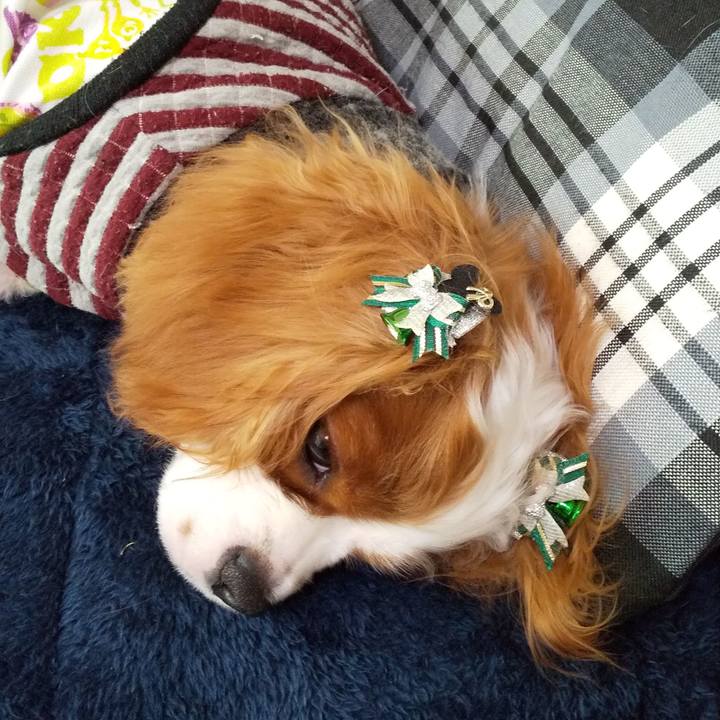 61d5a921 e075 4958 8081 e33ba27cb6c9 1575784835324