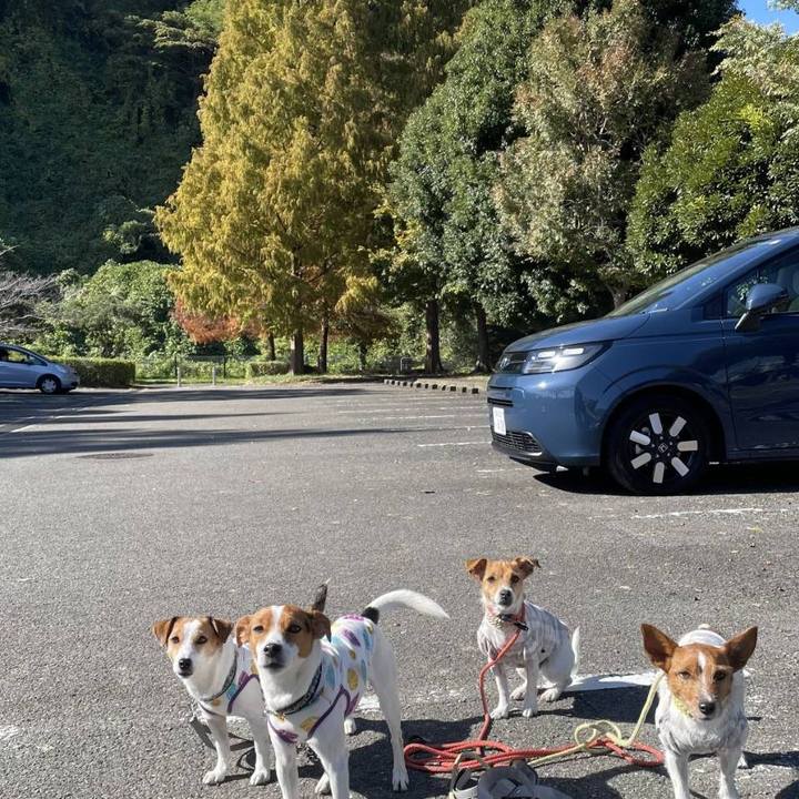 61d5ae8c 4bb7 4ea1 a165 985ce958742f 1763363840364