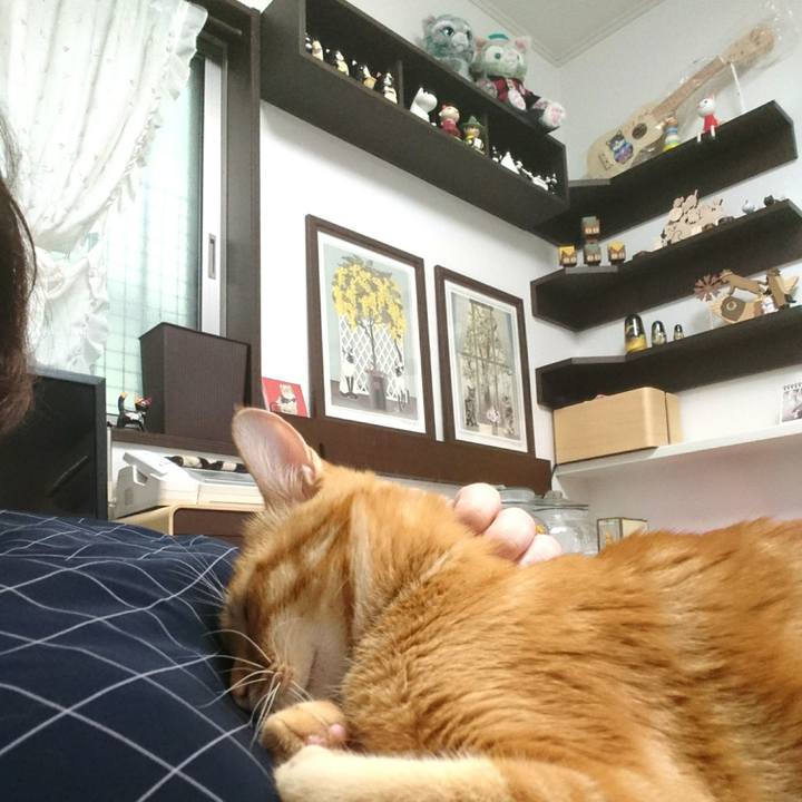 61d5dd6b 6218 4006 bd9a baa623b88534 1529362851606