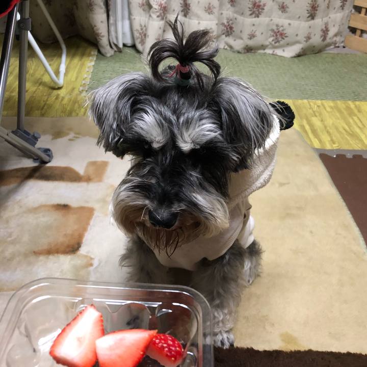 61d613d3 0ae0 4430 b230 2bf73eb1bdec 1552911793885