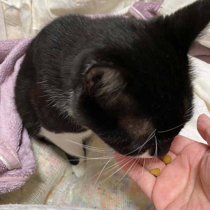 61d616bc fa7e 4506 b6a3 02c0bc855d1e 1642651534227