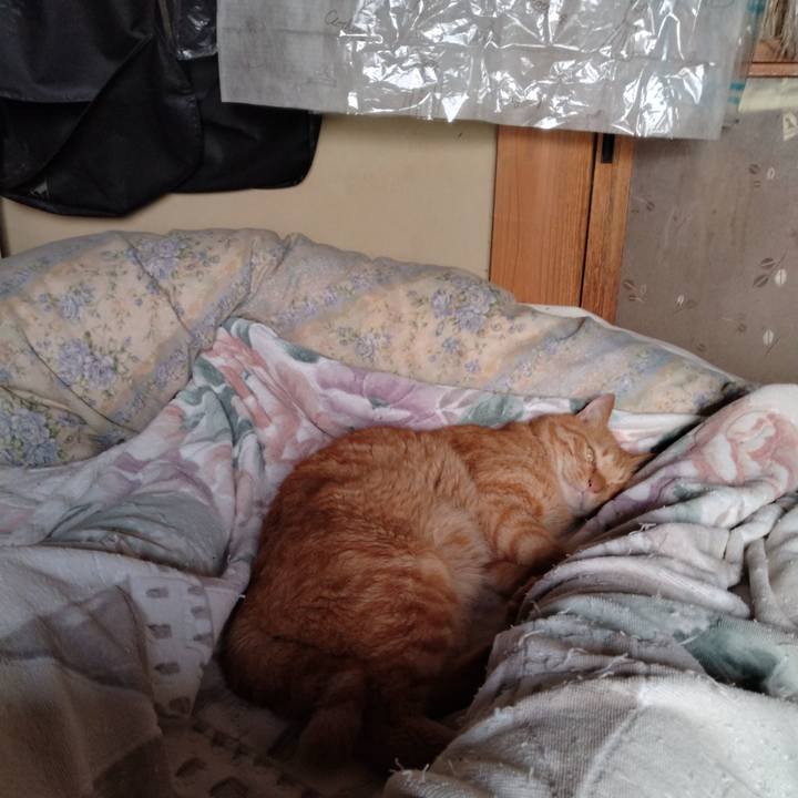 61d6523c 888f 4720 9cee 2209641a9891 1726179018150