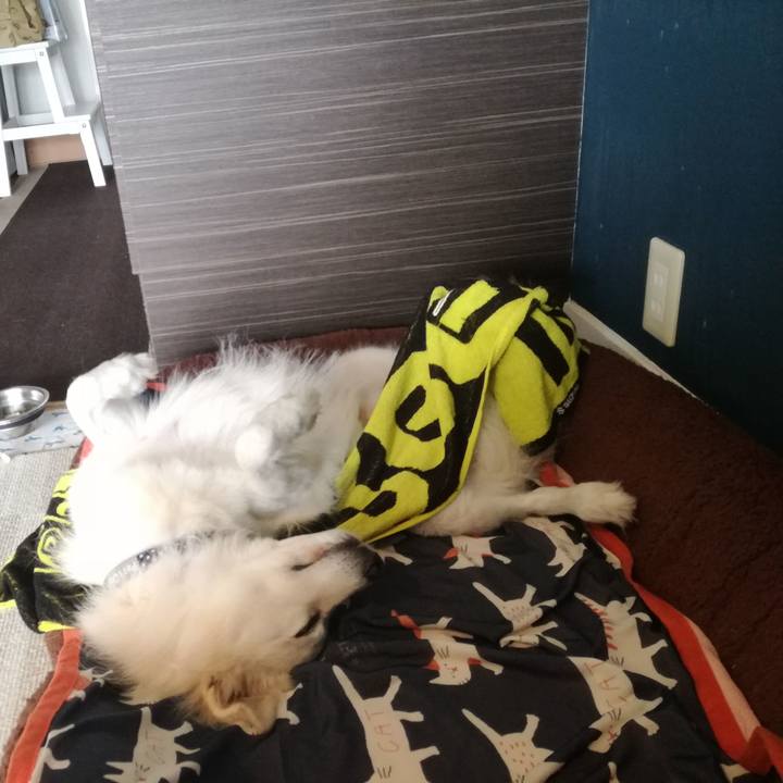 61d66b92 0225 4456 9b57 19cd7eaea7f3 1537495079006