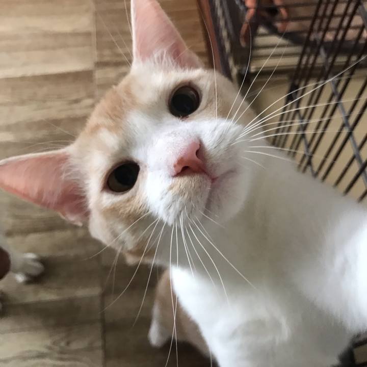 61d6743d b005 4061 854e 78e1274c8782 1602387320359