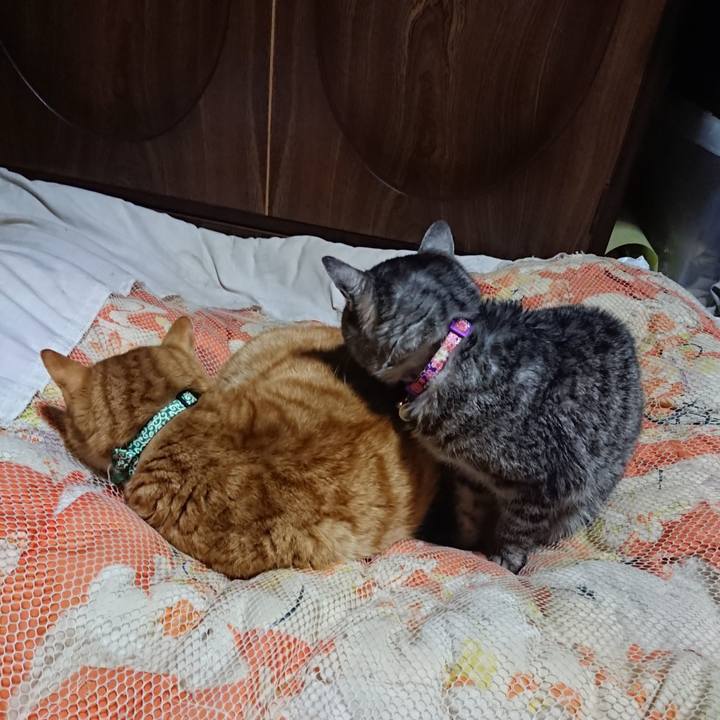 61d6820e 3983 4b6e af11 98e2c31109d0 1581078460363