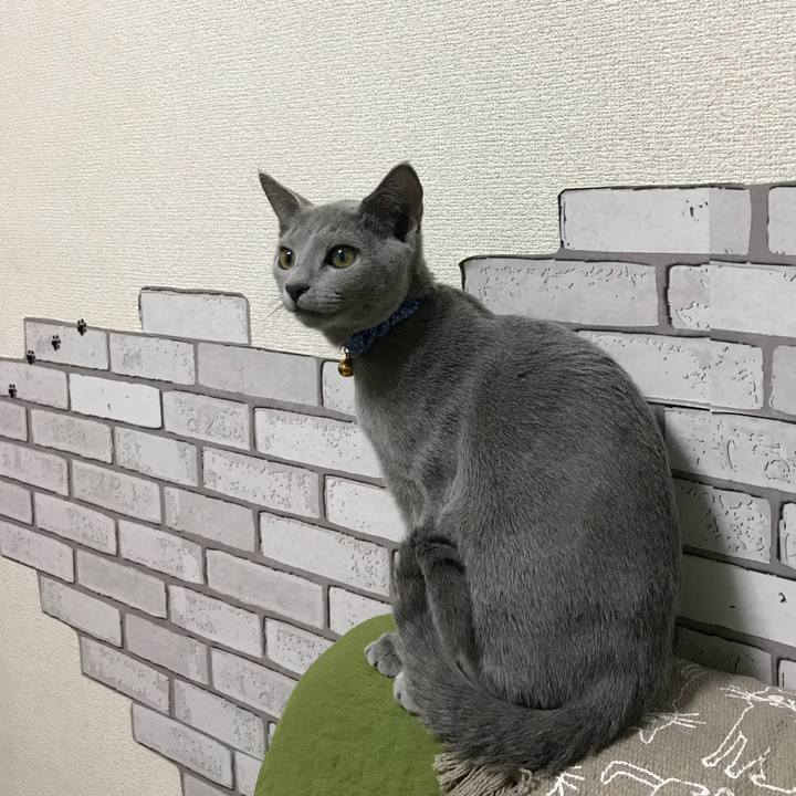 61d6b59a 2be2 48b2 aa53 59bbd80f6453 1509354112649