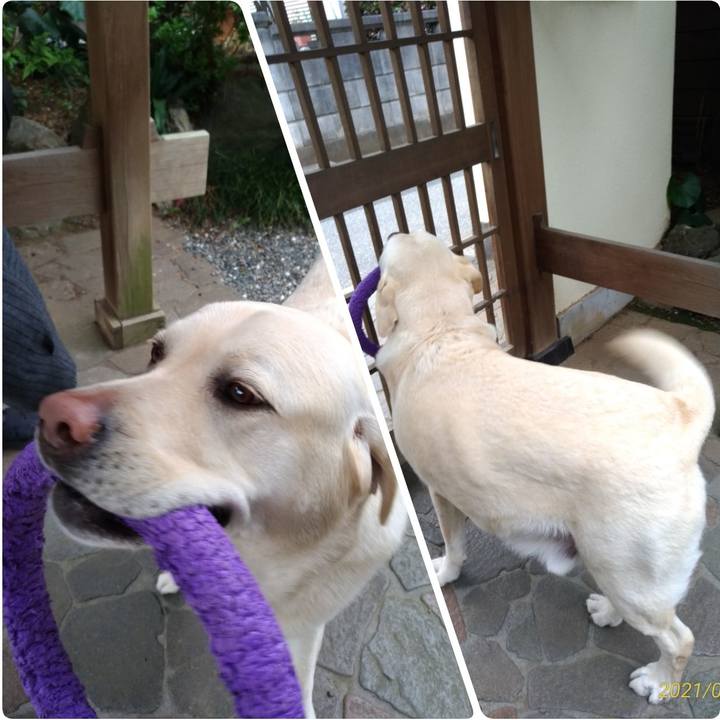 61d6bbd0 8a72 4e78 94bb 28c5596c9d4a 1617870358151