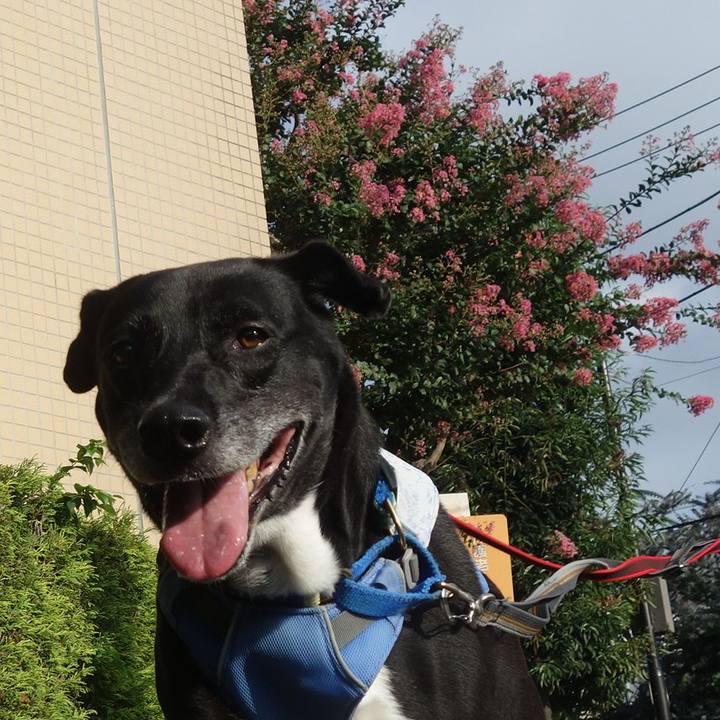 61d78851 614f 4579 b214 23155211be76 1692316618021