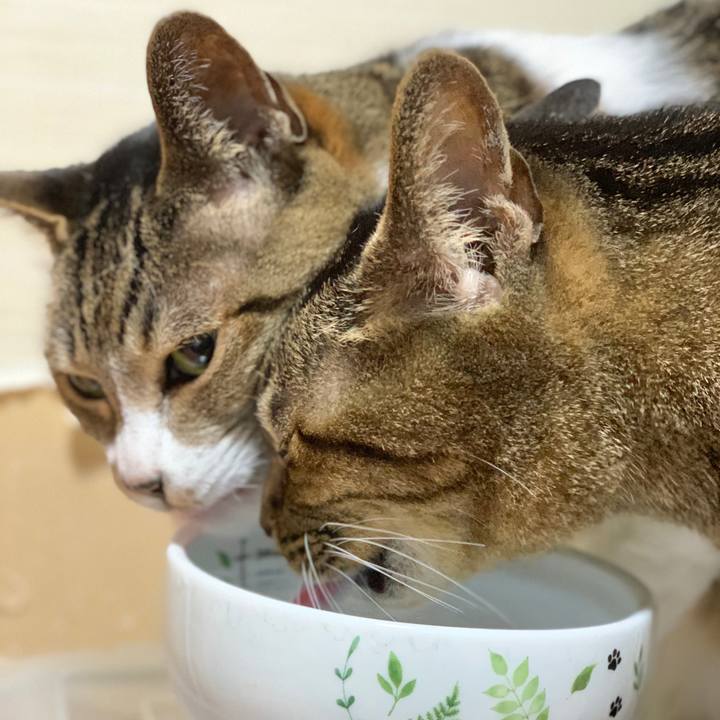 61d78e4a 3f30 41c4 8e51 bb90b5b171fc 1584062222472