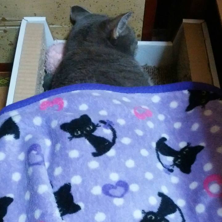 61d790dd b3cc 404b b1dd dc2f657a91ad 1537550342970