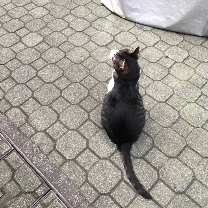 61d795ca f7c8 4e6b 9058 b568c7ea5bbf 1529239040080