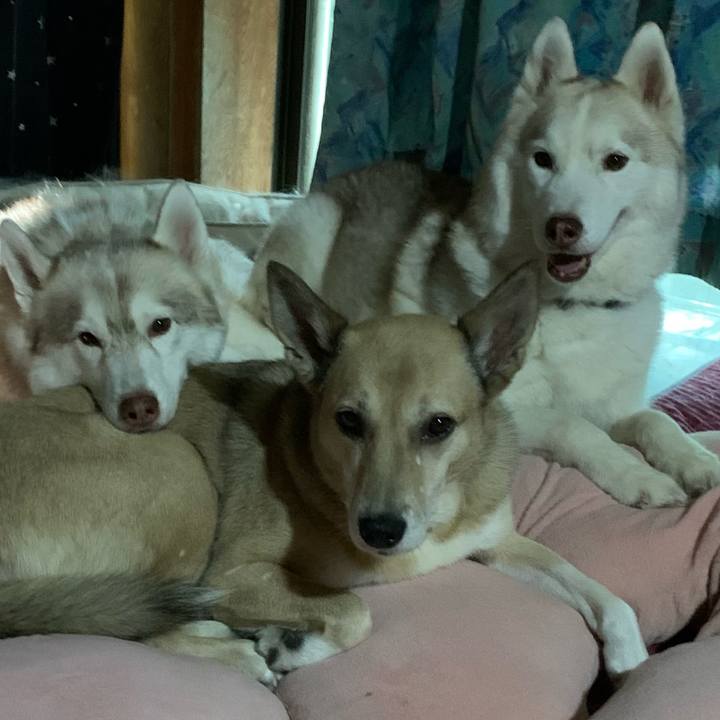 61d7b0cf edbb 43d6 b68e ddcde6a2026e 1691297822611