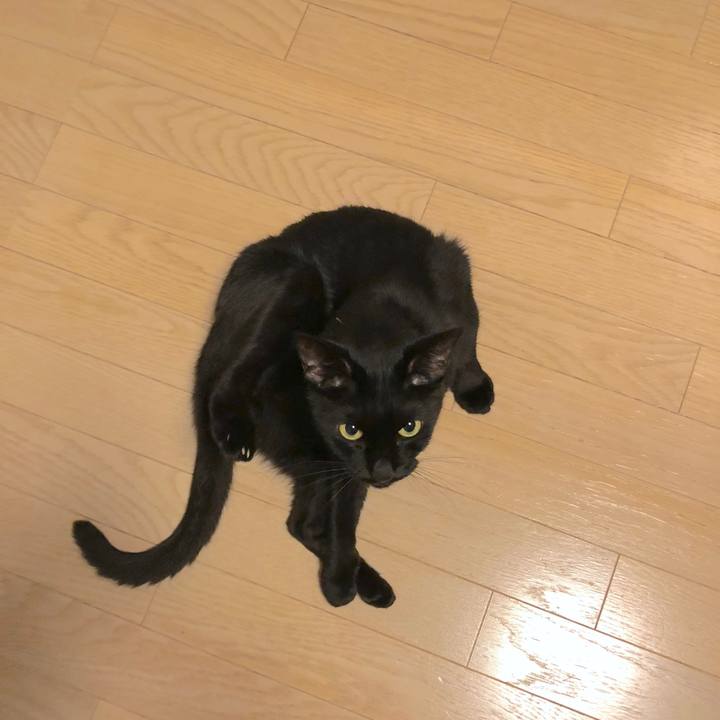 61d7c242 ffab 46dd b881 e63c39e1a8f8 1538817853197