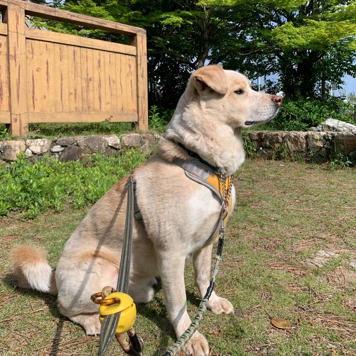 61d7e05b 05e3 4336 a2ce ae92cbab4264 1556932581940