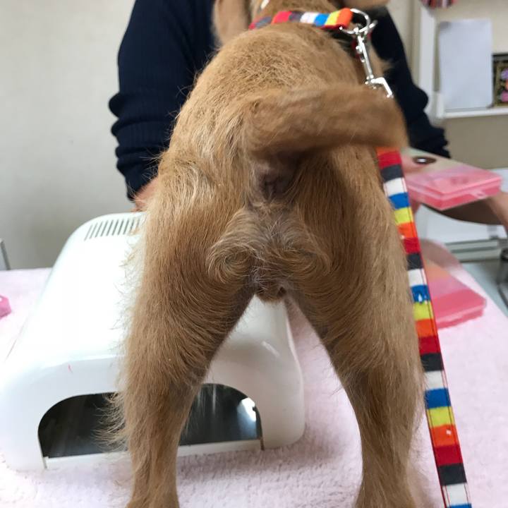 61d7f5cb 1887 4ac5 a4e4 9db30d974b08 1520593579067