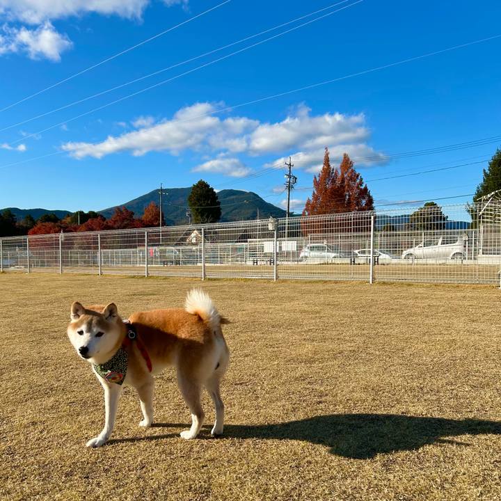 61d7fab5 ca34 4ce3 b277 2bf539bd9002 1733310336801