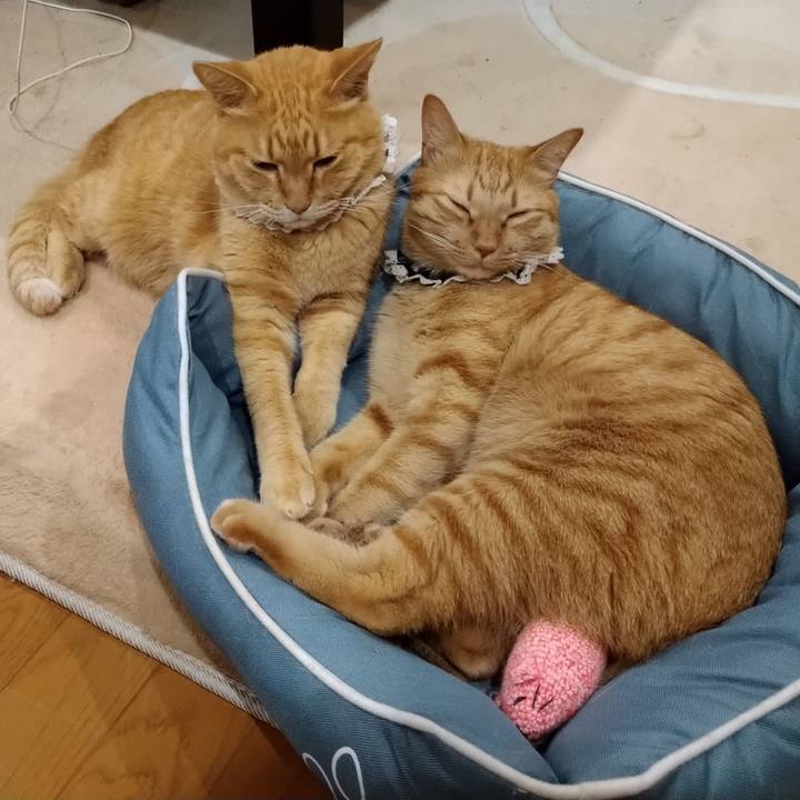 61d80262 ebab 425b 83a8 12c202225f61 1603498043589