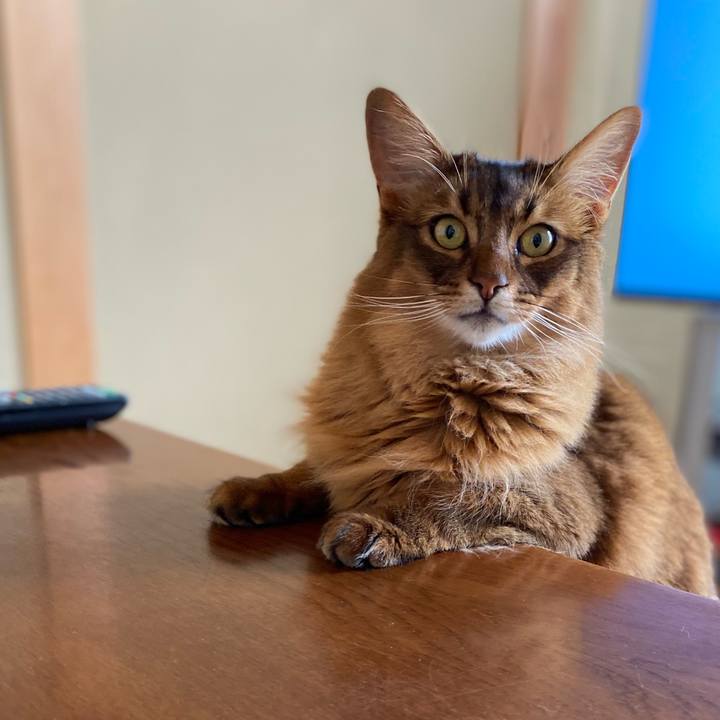 61d804b6 41f4 46c7 898a 62e5cf93844b 1653713416757