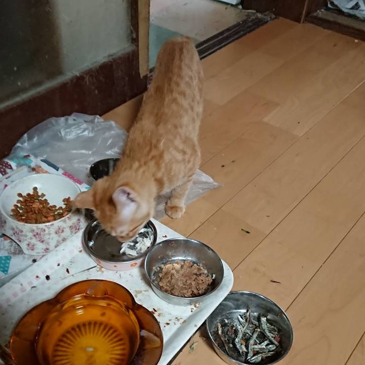 61d81317 15e7 493d 8838 ff5bbd4363fd 1633930882236