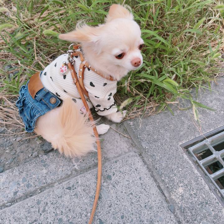 61d850e9 4baa 493e b690 f5e4a7aaed36 1759142991003