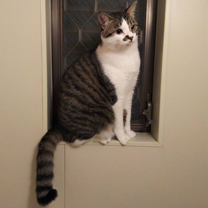 61d86011 b0fd 4de1 bbc6 8ae2c9194ba2 1653050193319